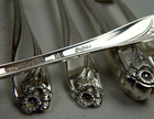 1847 Rogers Bros Is Daffodil Silverplate Flatware Grille Set Hostess Chest 56pc