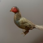 Antique Austrian Vienna Cold Painted Bronze Figure Of  Pheasant Bird