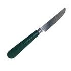 Poinsettia-christmas Charm Stainless Gibson Green Plastic Handle Modern Knife