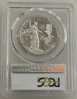 2015-w  100 Platinum Eagle Statue Of Liberty Pcgs Pr70 Dcam First Day Of Issue