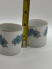 Vintage Mcm Floral Porcelain Tea Demitasse Cup Pair China Mini Cups