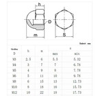 Dome Nuts 304 Stainless Steel Din 1587 Metric M3 M4 M5 M6 M8 M10 M12 Hex Cap Nut