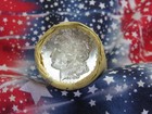 Roll Of 20 Silver Dollars Trade 1877 End   Frosty Pl 1880 Morgan End Bin Bu445