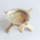White Sage Smudge Kit     Palo Santo     Abalone Shell   Dark Wooden Stand Set