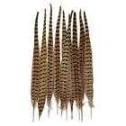 10pcs Natural Pheasant Tail Feathers 16-18  For Floral Arrangements  Crafts  Dec