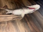 16 In Small Mouth Bass Taxidermy On Log Mount