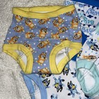 Toddler Bluey  4 Pair Training Underwear - 2t