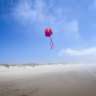 3362     Blaze Single Box Kite     Easy-flying  Single-line Colorful Kite  Beginn   