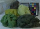 Varigated Mixed 5 Green Romney Wool Roving Spin Needle Felting Weave Fiber Arts