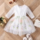 Girls Embroidered Floral Princess Dress   Mesh Long Sleeve Cotton Party Dress