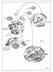 Bulova Parts  Technical And Service Guides  over 70 Movements   Accutrons  