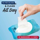 Summer s Eve Gentle Feminine Wipes  Fragrance Free  32 Count  4 Pk