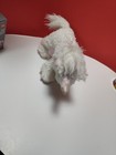 Shining Stars Unicorn Plush Stuffed Animal Toy