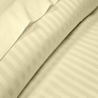 100  Cotton Branded Bedding 1000tc 1200tc Select Item Ivory Stripe