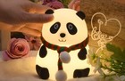 Panda Led Night Light Silicone Touch Lamp Usb Rechargeable Color Changing Kids