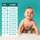 Pampers Baby Dry Ultra Baby Diapers Size 3  164 Count  select For More Options 