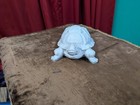 Marble-look Turtle Decorative Statue     Unique Home D  cor Add A Classic Touch To
