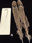 Peacock Pheasant Double Eye Tail Feathers  100