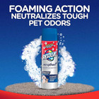 Resolve Pet Expert Carpet Stain Odor Remover Foam 22oz 2 Count New