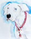 Hand-painted Custom Pet Portrait  Cat Portrait  Dog Portrait  Gift For Pet Lover