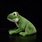 6 2  Green Frog Plush Toy Lifelike Amphibian Reptilian Stuffed Animal Doll
