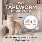 Tapeworm Dewormer For Cats   Kittens  6  Weeks   Praziquantel Tablets  Tapeworm