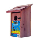 Red Cedar Bluebird Wild Bird House  1 Pack