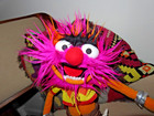 Muppets Animal Disney Store Exclusive Plush Bean Bag Doll 17 Inch Authentic