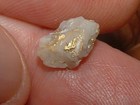 Oregon Gold Quartz Specimen  47 Gram Blue Mtns Gold