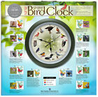 Limited Edition 20th Anniversary Singing Bird Wall Sound Clock  13   Green