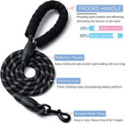 2 Pack Dog Leash  4 5  6 Ft Heavy Duty Nylon Rope Pet Leashes With Comfortable P