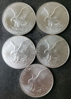 Lot Of Five - 2024  p   1 American S  ilver Eagle 1 Oz   999 Fine