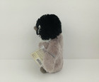 Nwt Ganz Webkinz Gray Baby Penguin Hm387 Sealed With Unused Code Stuffed Plush