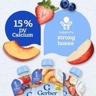 Gerber Baby Food Pouches - Fruit   Yogurt Variety Pack - 9pk 3 5oz