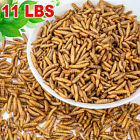 11 Lbs Bulk Dried Mealworms Non-gmo For Wild Birds Blue Bird Chickens Hen Treats