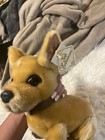 Dan Dee  Chihuhua Dog Tan 14    Long Plush Stuffed Animal Collectors Choice