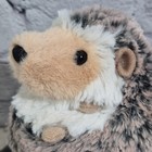 Douglas Spunky Hedgehog 5    Plush Stuffed Animal  4101 Small Cuddly Super Soft 