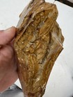 Over 5lb Rough Faced Picture Jasper Agate Mix 43