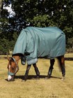 Lemieux Arika Ripstop 0g Lite Turnout Sheet With Neck - Aloe