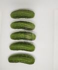 Wax Large Pickles  Fake Pickles  Props  Set Of 5 Life Size Pickles  Scented