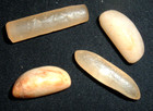  4  Sahara Neolithic Quartz Plugs  Labrets   75 - 1    Ancient African Artifacts