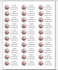 150 Pretty Flamingo Round Mailing Return Address Labels Personalized