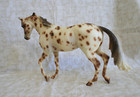 Peter Stone Horse Nimbus 2002 Limited Edition 400 Leopard Appaloosa Thoroughbred