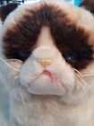 Grumpy Cat Limited Gund Plush 9    Blue Eyed Pre Owned Plush Cat 