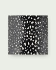     big Sale 50     flor Doe Re Mi Carpet Tiles 19 69 x19 69   Black  12 Pack 