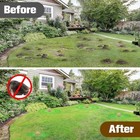 6 Packs Mole Repellent  Vole Repellent Outdoor  Powerful Mole Deterrent For Yar