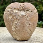 Micraster Coranguinum Fossil Echinoid In Flint - Cretaceous Sea Urchin - Small