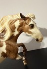 Breyer Breyerfest 2014 Pop The Cork Glossy Chestnut Pinto Nokota