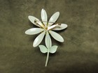 Vintage 1970 s Mid Century Enamel On Metal Flower Pin Yellow Daisy Greenstem