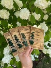 Wedding Invitation   Eucalyptus Wooden Wedding Invitation Set   Laser Cut